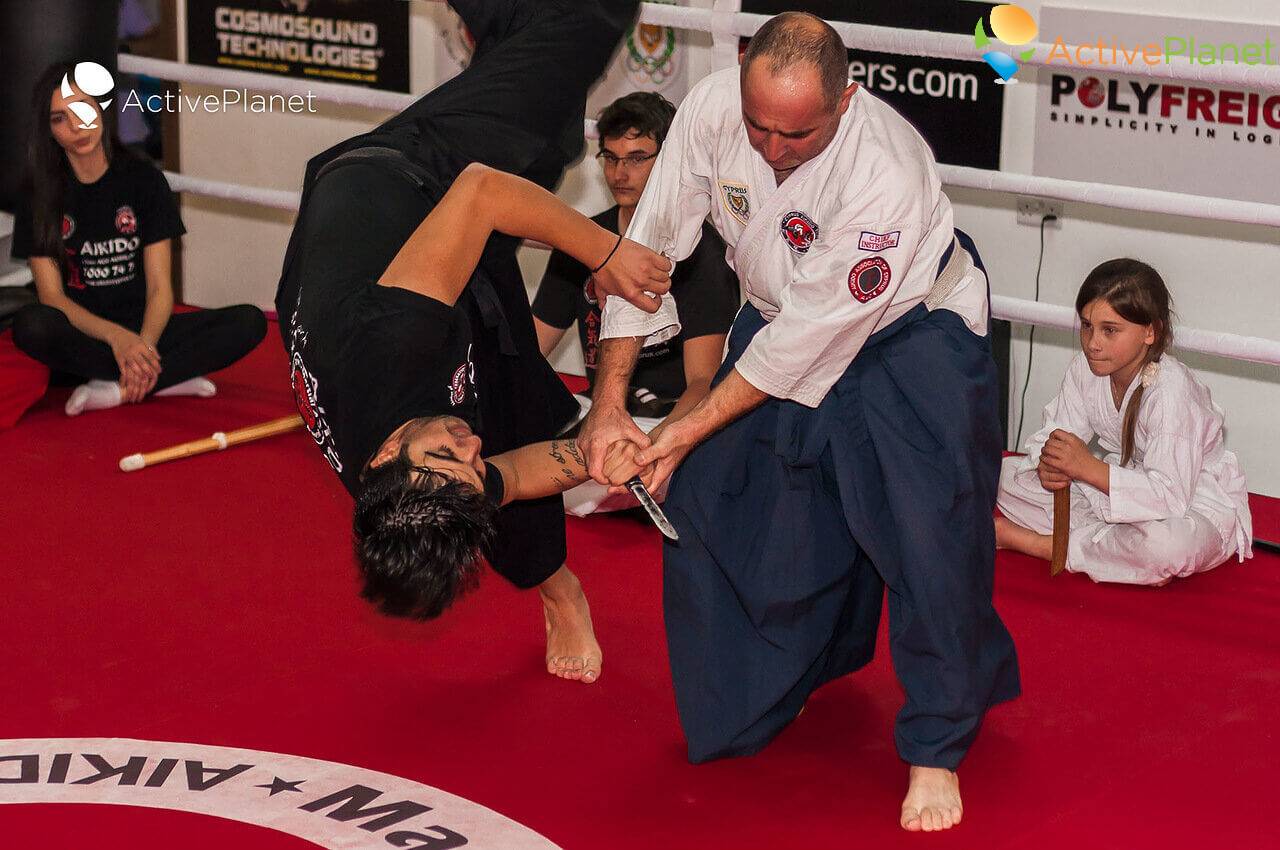 Aikido Gathering in Cyprus